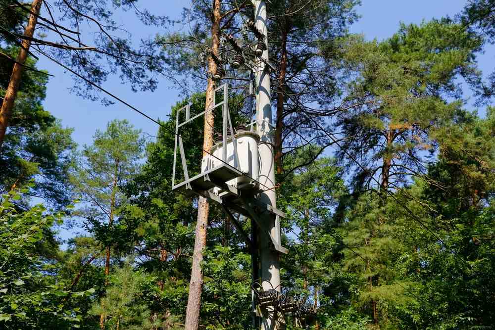 Poste de energia com transformador e cabos elétricos cercado por árvores altas em área verde, mostrando proximidade entre vegetação e rede elétrica, ilustrando artigo sobre poda de árvore